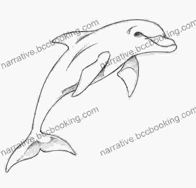 A Graceful Dolphin Sketched In Flowing Lines, Captured Mid Leap No Experience Required Drawing Painting Animals: An Easy Guide To Getting Started