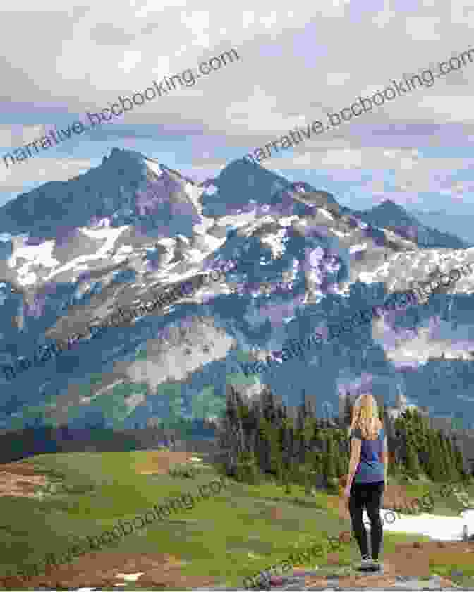 A Hiker Admiring The View Of Mount Rainier And Nisqually Glacier From Nisqually Vista Hiking Mount Rainier National Park: A Guide To The Park S Greatest Hiking Adventures (Regional Hiking Series)