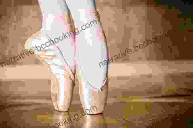 A Pair Of Ballet Shoes Steps To Success In Ballet