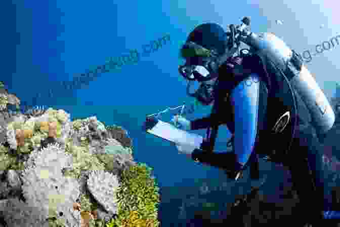 A Scientist Studying Marine Life, Surrounded By A Vibrant Coral Reef The World Is Blue: How Our Fate And The Ocean S Are One