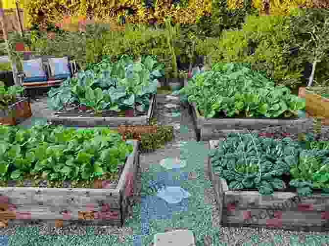 A Vibrant And Healthy No Dig Garden With Raised Beds And Lush Vegetation. The Complete Guide To No Dig Gardening: Grow Beautiful Vegetables Herbs And Flowers The Easy Way Layer Your Way To Healthy Soil Eliminate Tilling Naturally Reduce Weeding And Watering