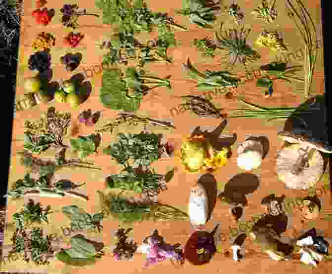 A Vibrant Collage Of Edible Wild Foods, Inviting You To Explore The Uncharted Realm Of Nature's Pantry. Foraging Washington: Finding Identifying And Preparing Edible Wild Foods (Foraging Series)