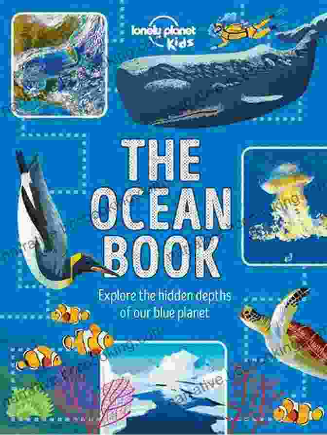 Advice From The Ocean Book Cover Advice From The Ocean: Unexpected Paths Into Marine Conservation