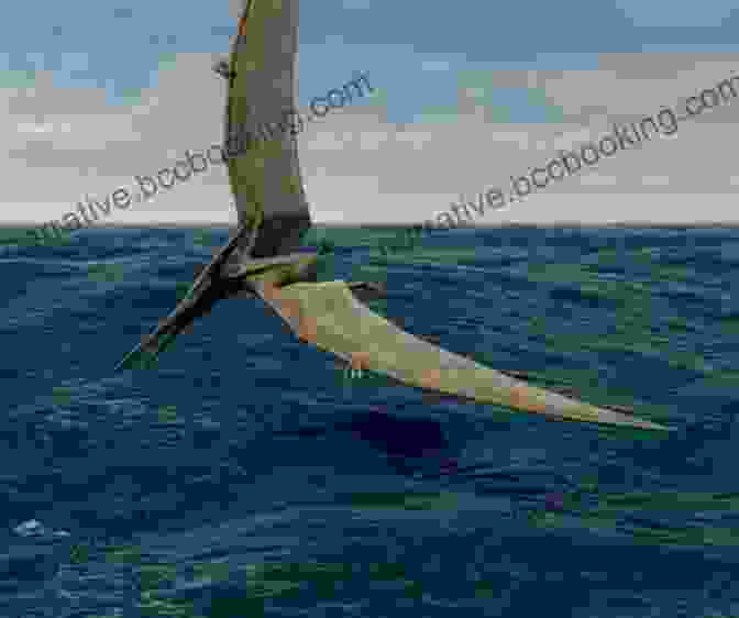Ancient Pteranodon Gliding Through The Air Above The Ocean Beyond The Dinosaurs: Monsters Of The Air And Sea (I Can Read Level 2)