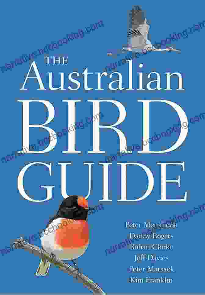 Bird Watching In Australia With The Australian Good Birding Guide Australian Good Birding Guide: Southern Central Queensland: NSW ACT