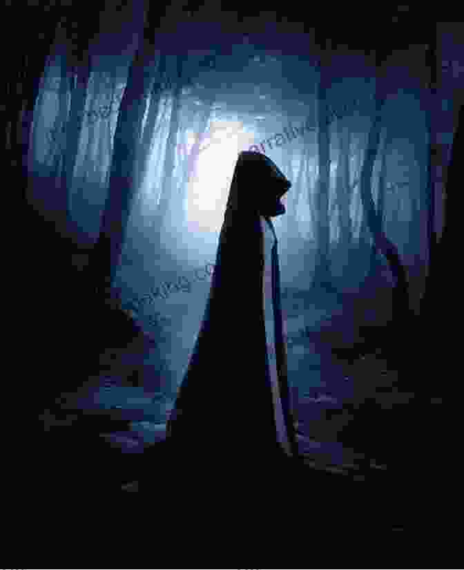 Book Cover Of 'Where The Witch' Featuring A Mysterious Woman In A Dark Forest Where S The Witch?: A Spooky Search And Find (Search And Find Activity)