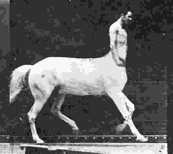 Centaurs: The Half Horse, Half Human Hybrids Greek Mythology: Fantastic Beasts And The Giants (Illustrated) (A Great Of Greek Creatures 2)