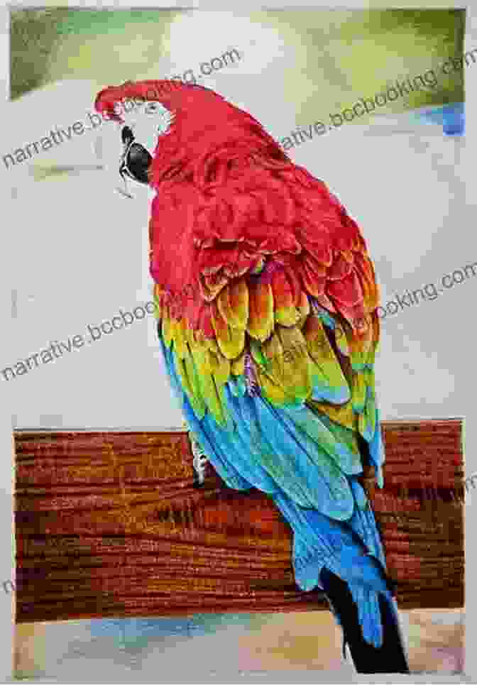 Colorful Pencil Drawing Of A Vibrant Parrot, Showcasing Its Intricate Feather Patterns And Expressive Eyes Cartoon Animal Friends: How To Draw Dogs Cats And Other Pets