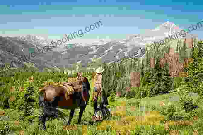 Cowboy Riding A Horse Through A Western Landscape FORWARD PEDAL (TRUE TALES OF THE OLD WEST 1)