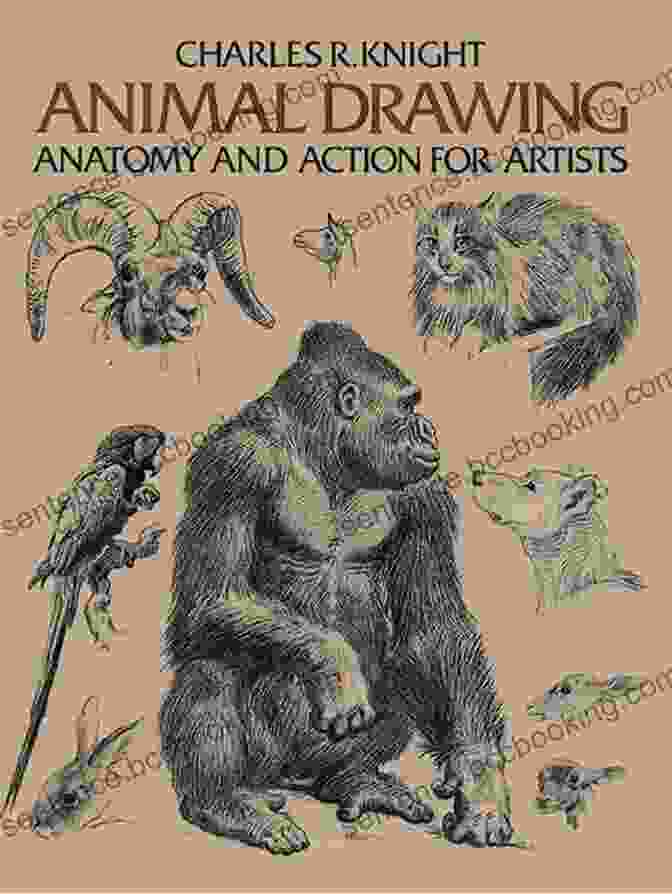 Dover Anatomy For Artists Book Cover Anatomy For Artists (Dover Anatomy For Artists)