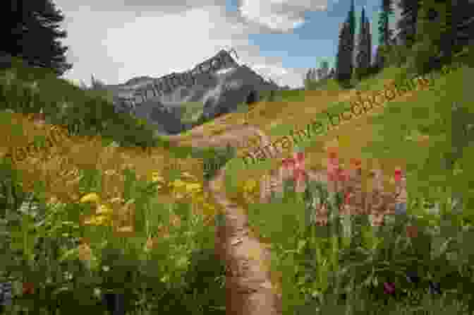 Hikers Exploring An Unmarked Trail In Utah, Surrounded By Wildflowers And Towering Cliffs Explorer S Guide 50 Hikes In Utah (Explorer S 50 Hikes 0)