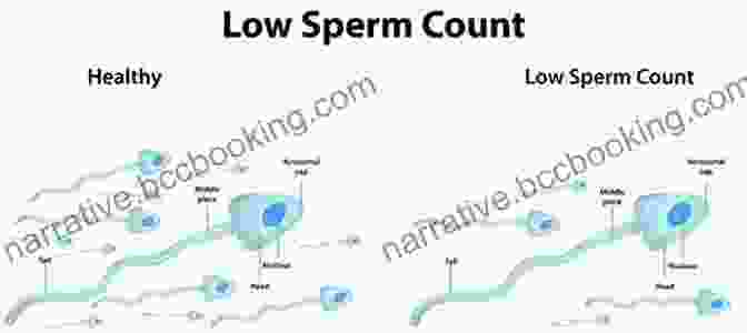 Low Sperm Count Beyond Infertility: 48 Reasons Why You Are Not Yet Pregnant