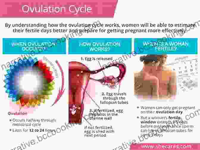 Premature Ovulation And Fertility Beyond Infertility: 48 Reasons Why You Are Not Yet Pregnant