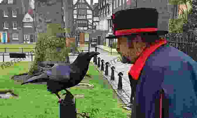 Ravenmaster Christopher Skaife Feeding A Raven At The Tower Of London The Ravenmaster: My Life With The Ravens At The Tower Of London