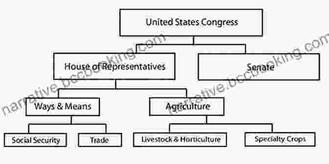 Structure Of Congress The Congress Of The United States (A True Book: American History)