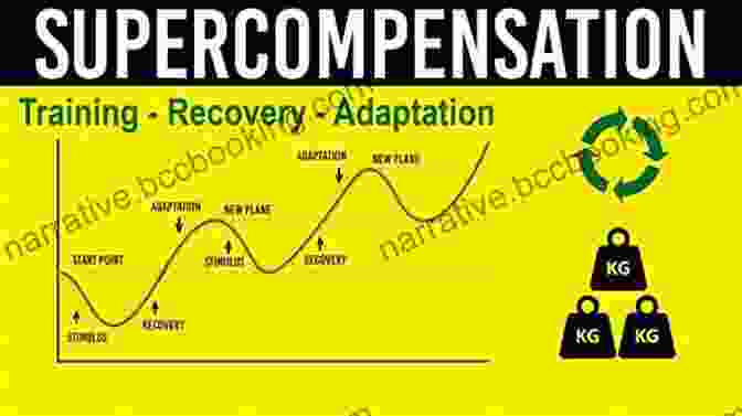 Supercompensation Diagram Illustrating The Principle Of Recovery And Adaptation. SuperCompensation Recovery (Key Concepts 3)