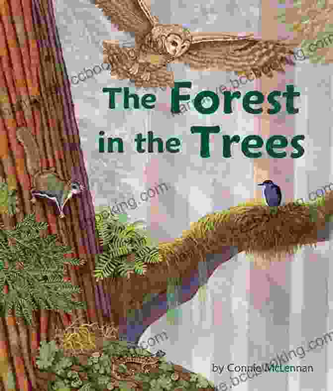 The Tree People Book Cover Featuring A Lush Forest With A Path Leading Towards A Tall Tree The Tree People Cherrel Turner Callwood