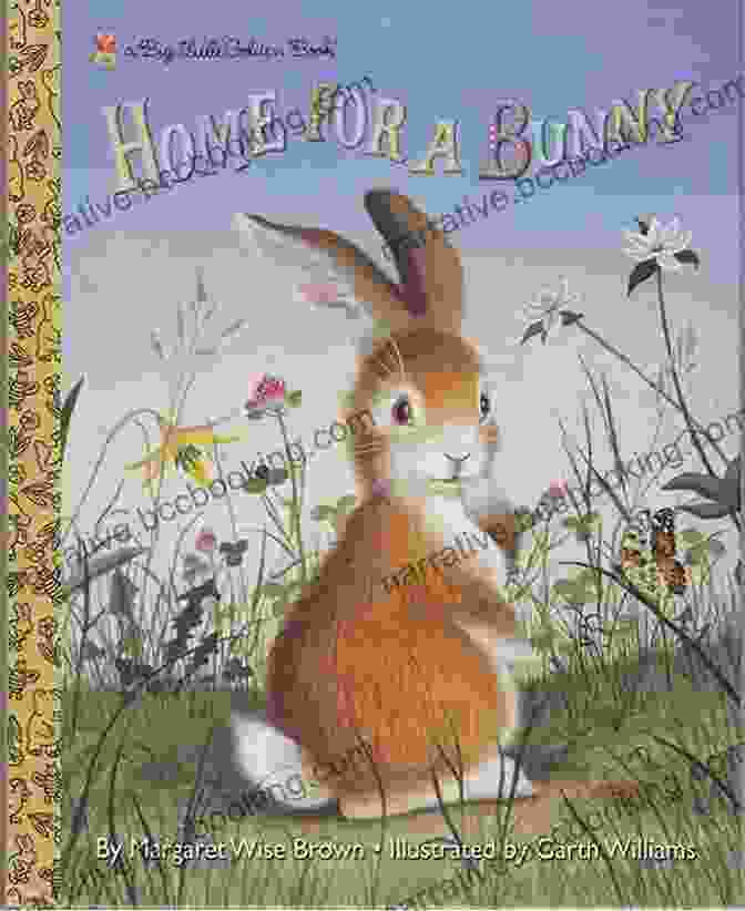Where The Bunny? Book Cover Where S The Bunny?: An Egg Cellent Search And Find (Search And Find Activity 6)