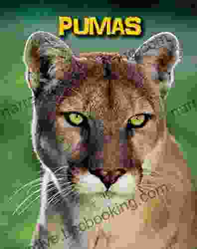 Pumas (Living In The Wild: Big Cats)