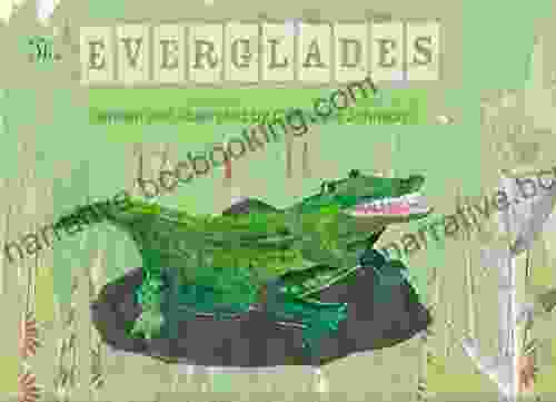 The Everglades: Children S Poems Catherine Johnson