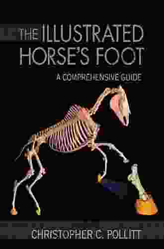 The Illustrated Horse S Foot: A Comprehensive Guide