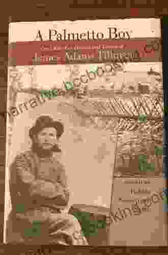 A Palmetto Boy: Civil War Era Diaries And Letters Of James Adams Tillman