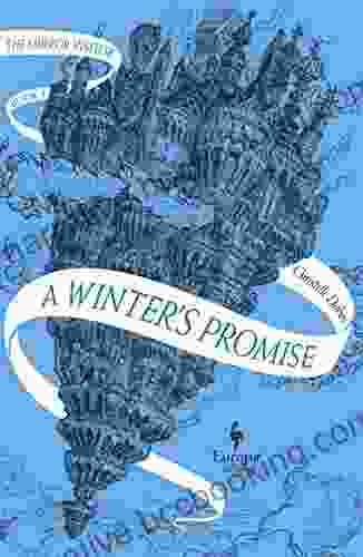 A Winter S Promise: One Of The Mirror Visitor Quartet